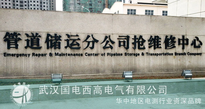 徐州客户邀请国电西高为其做技术指导